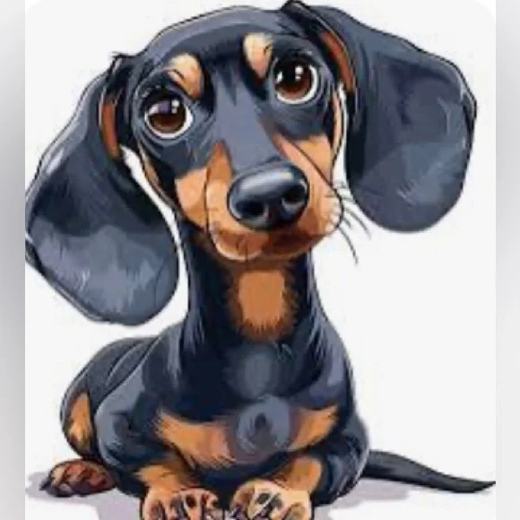 🎄 🐶 NWT JCREW Dachshund Graphic Tee - Picture 13 of 13